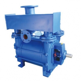 2BEA Series Water Ring Vacuum Pumps