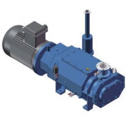 LG/B series constant pitch screw vacuum pump